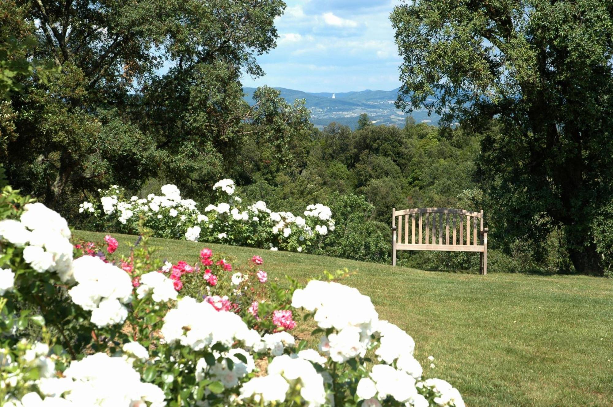 Tenuta Seripa * Sassetta